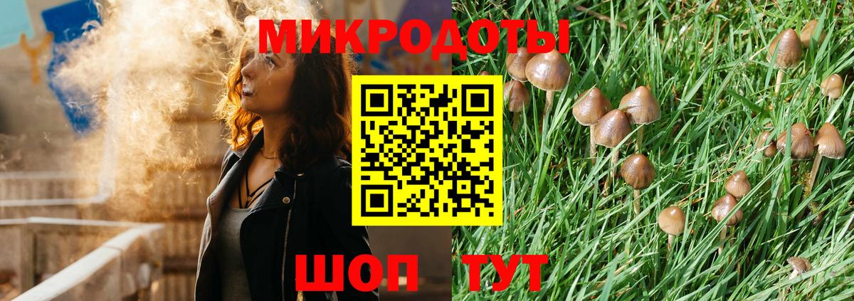 Галлюциногенные грибы прущие грибы Борзя