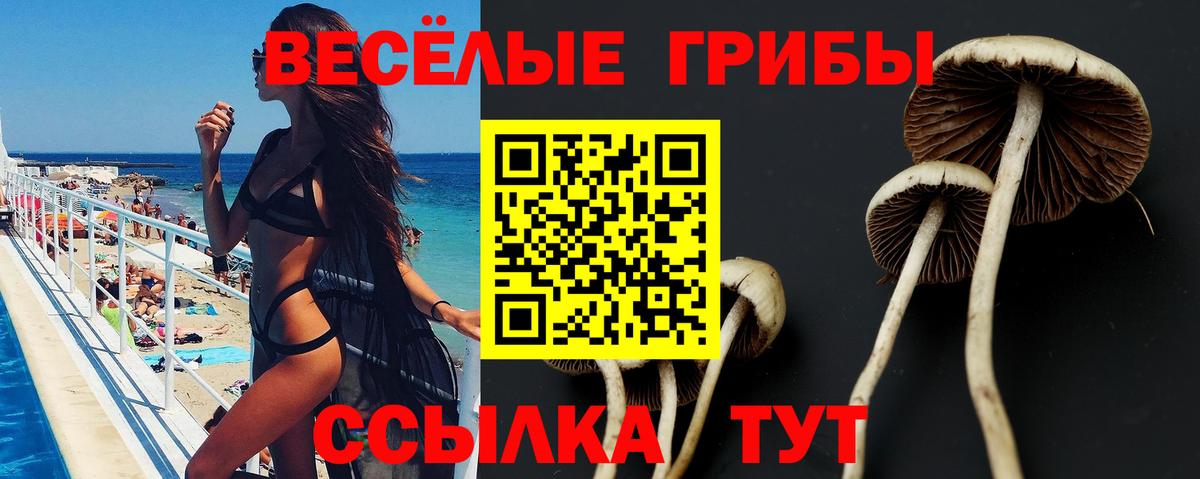 Галлюциногенные грибы GOLDEN TEACHER  Вход с VPN  Борзя 